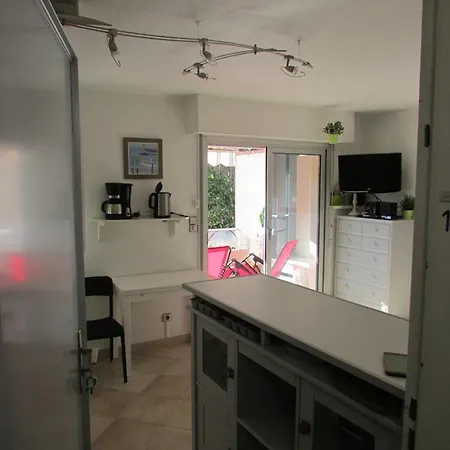 Appartement Face Avec Clim, Wifi, Parking Privé, Terrasse Ensoleillée - Fr-1-803-50 Le Lavandou