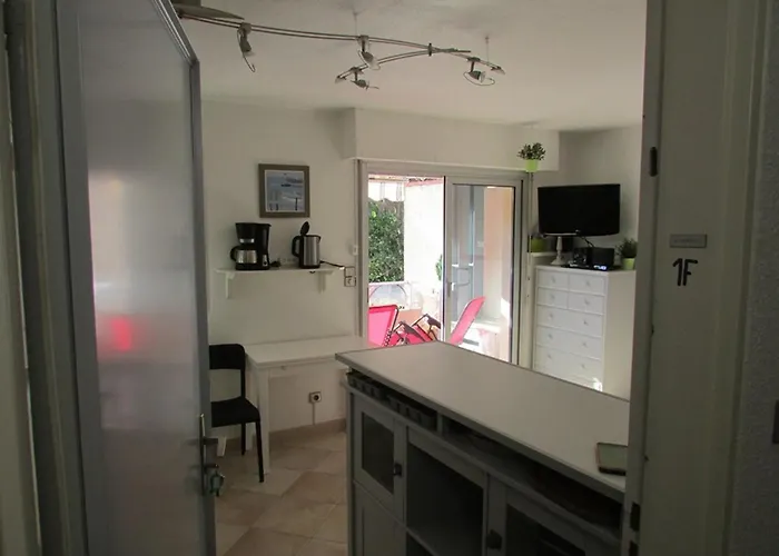 Apartman En Bord De Avec Wifi Et Parking Prive - Fr-1-803-50 Le Lavandou